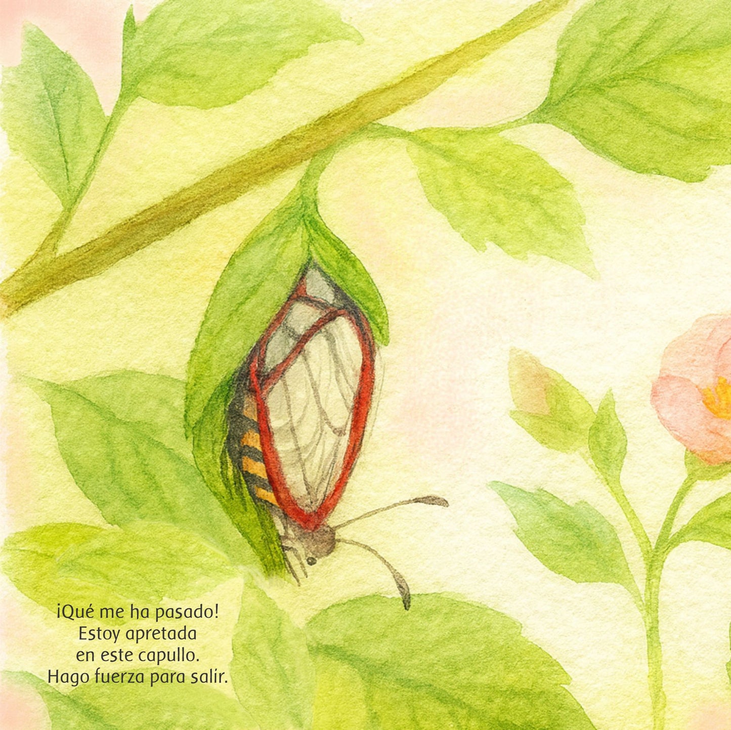 A traves de la Ventana - Mariposa Cristal V.2