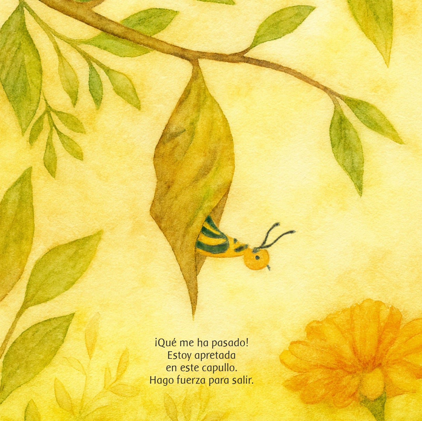A traves de la Ventana -Mariposa Monarca V.4 - Clásico 17 x 17